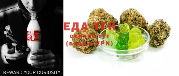 ECSTASY Алзамай