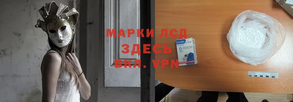 ECSTASY Алзамай