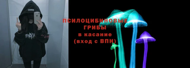 гидропоника Абдулино